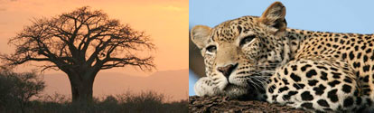 East Africa