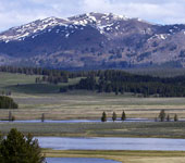 Montana