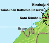 Borneo