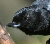 Ecuador