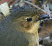 Ecuador