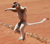 Madagascar