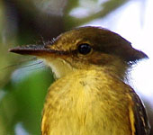 Guatemala