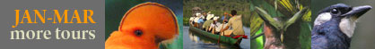 January through March tours with space