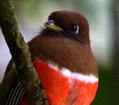 Costa Rica