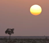 Oman & the UAE