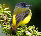 Ecuador