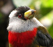 Ecuador