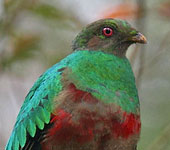 Ecuador