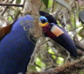 Ecuador