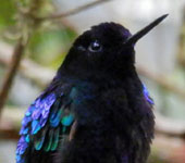 Ecuador