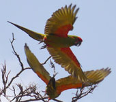 Bolivia