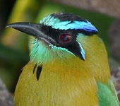 Costa Rica