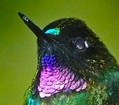 Ecuador