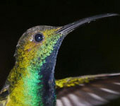 Costa Rica
