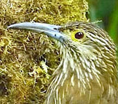 Ecuador