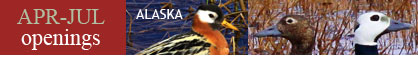 April through July Field Guides tours with
                      space