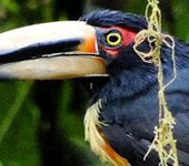 Ecuador