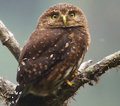 Ecuador
