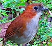 Ecuador