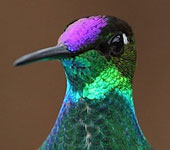 Ecuador