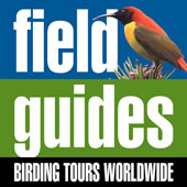 Field Guides Birding Tours