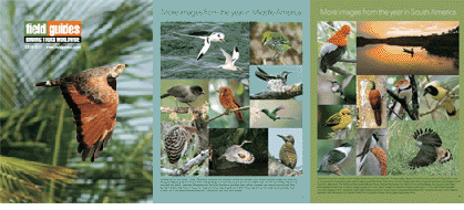 2016 Field Guides catalog