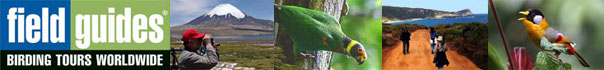 Field Guides Birding Tours
